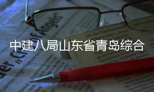 八局目封岛综顶体交通产基中建合立新区高业示础设范园山东省青施项