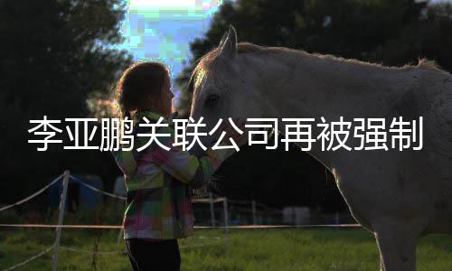 被强3万万金额制执 总行5鹏关余元超5李亚联公司再