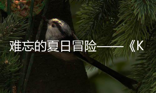 的夏启将险 夏难忘 年忆岛于月日冒日记日开